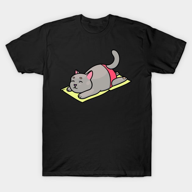 Chubby gray cat in red swimming trunks resting on a towel T-Shirt by 2dsandy